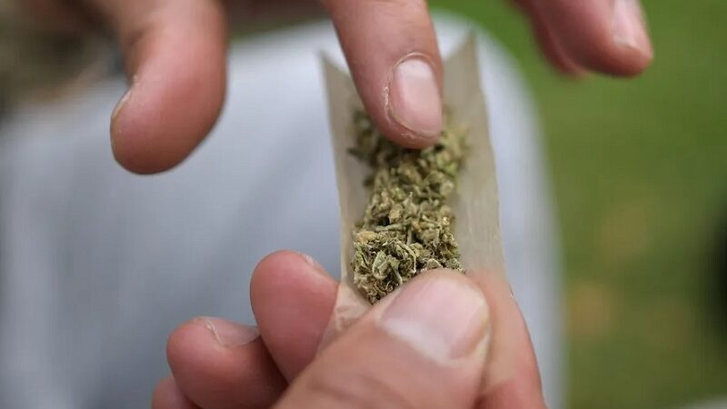 Sexta Turma aplica precedente do STF e afasta condenação por posse de 23 gramas de maconha – Jornal Advogado – Em Mato Grosso