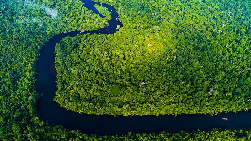 Decisão da justiça de MT em anular criação de parque pode agravar crise climática, alerta carta na Science – Jornal Advogado – Em Mato Grosso