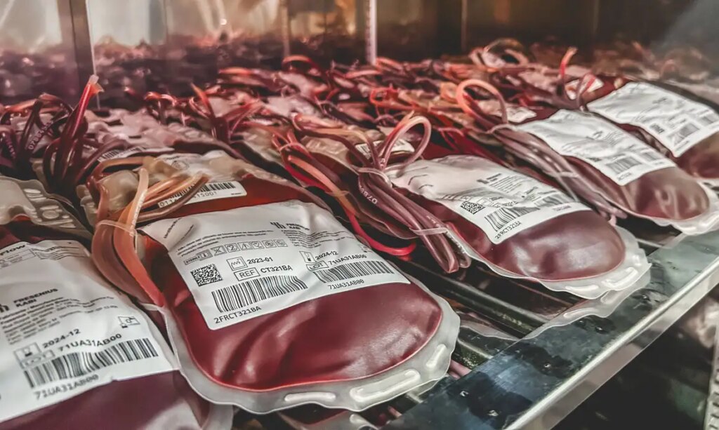 STF decidirá se testemunha de Jeová pode recusar transfusão de sangue – Jornal Advogado – Em Mato Grosso