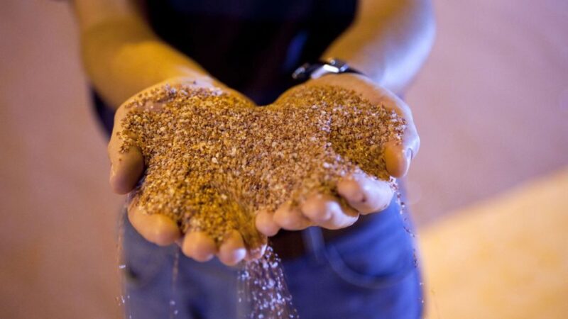 Empresa de fertilizante brasileira entra com pedido de IPO na Bolsa de Nova York – Jornal Advogado – Em Mato Grosso