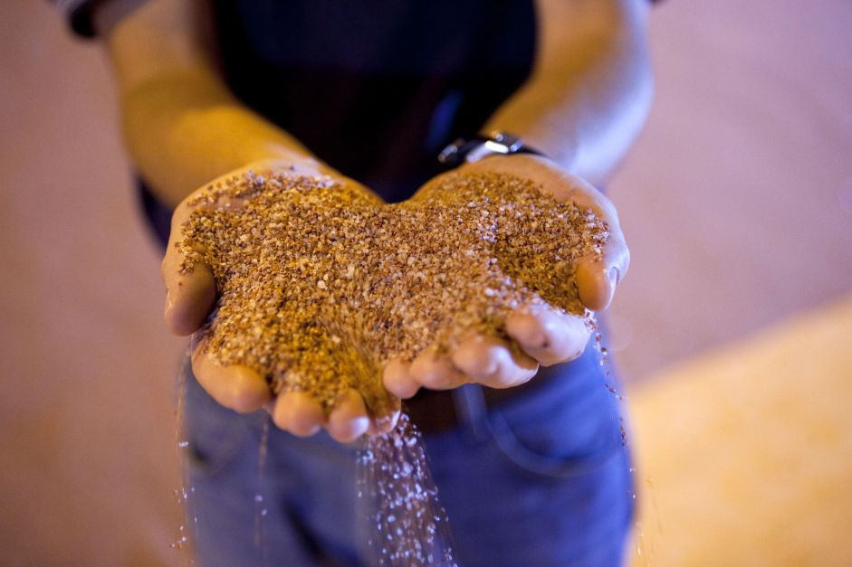 Empresa de fertilizante brasileira entra com pedido de IPO na Bolsa de Nova York – Jornal Advogado – Em Mato Grosso