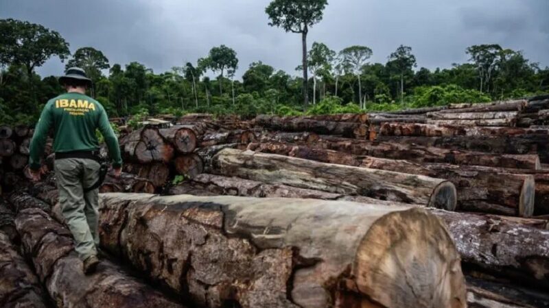 Prazo para exigir que infrator ambiental entregue bem apreendido conta da data de sua recusa – Jornal Advogado – Em Mato Grosso