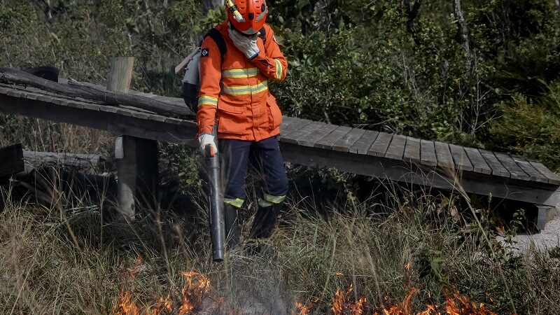 Vinte e oito bombeiros combatem incêndio na Estrada de Chapada; PM controla trânsito na região – Jornal Advogado – Em Mato Grosso