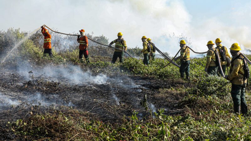 Corpo de Bombeiros extingue quatro incêndios florestais e combate outros 38 no Estado