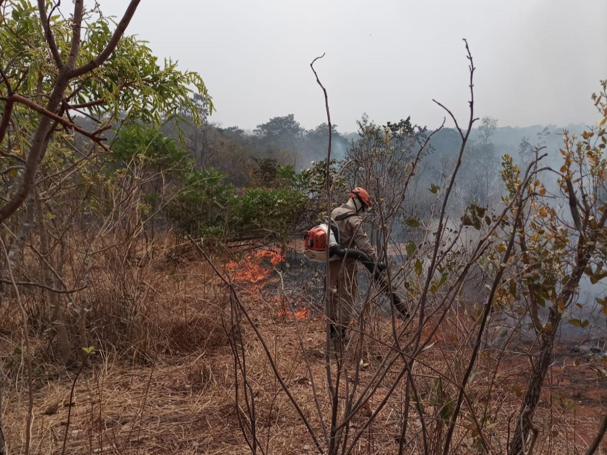 Corpo de Bombeiros de MT extingue incêndio em propriedade rural de Campo Verde