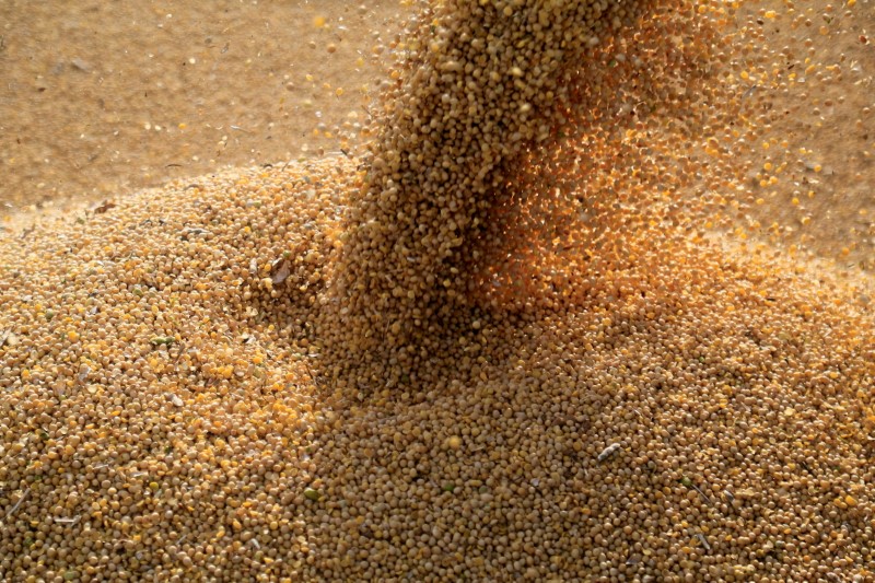 Índice de Commodities do Banco Central sobe 4,61% em outubro