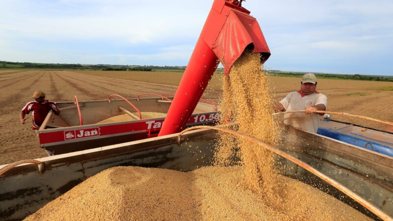 Mesmo com atraso por seca, nova safra de soja do Brasil deve crescer 14%, segundo pesquisa