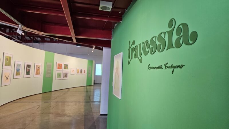 Exposição inspirada em voos de aves do Brasil entra em cartaz na Galeria Lava Pés