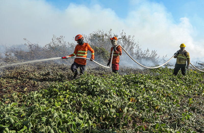 Bombeiros de MT combatem 22 incêndios florestais no Estado neste sábado (12) – Jornal Advogado – Em Mato Grosso