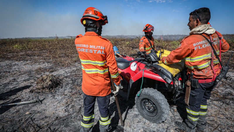 Corpo de Bombeiros extingue sete incêndios e combate outros cinco nesta quarta-feira (23)