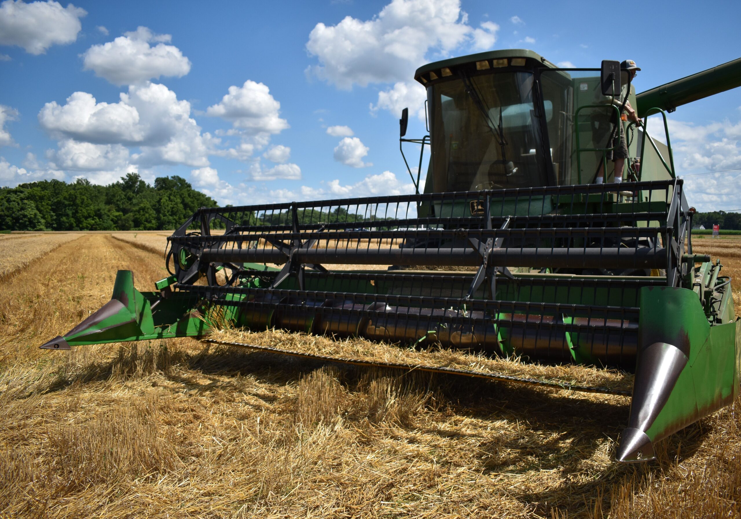 Produção agrícola do Brasil deve crescer 15,5% em dez anos, aponta Mapa