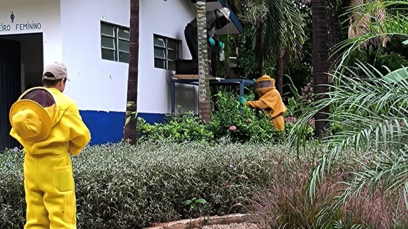 Corpo de Bombeiros remove enxame de abelhas que estava em telhado de banheiro de Parque Municipal