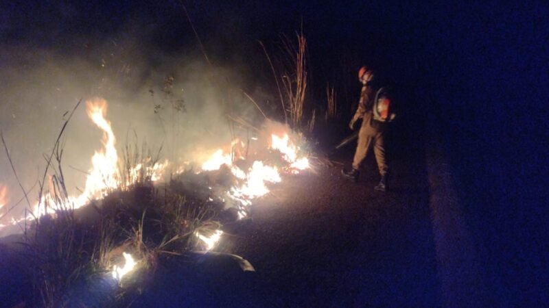 Bombeiros combatem incêndio em área de vegetação às margens da BR-070