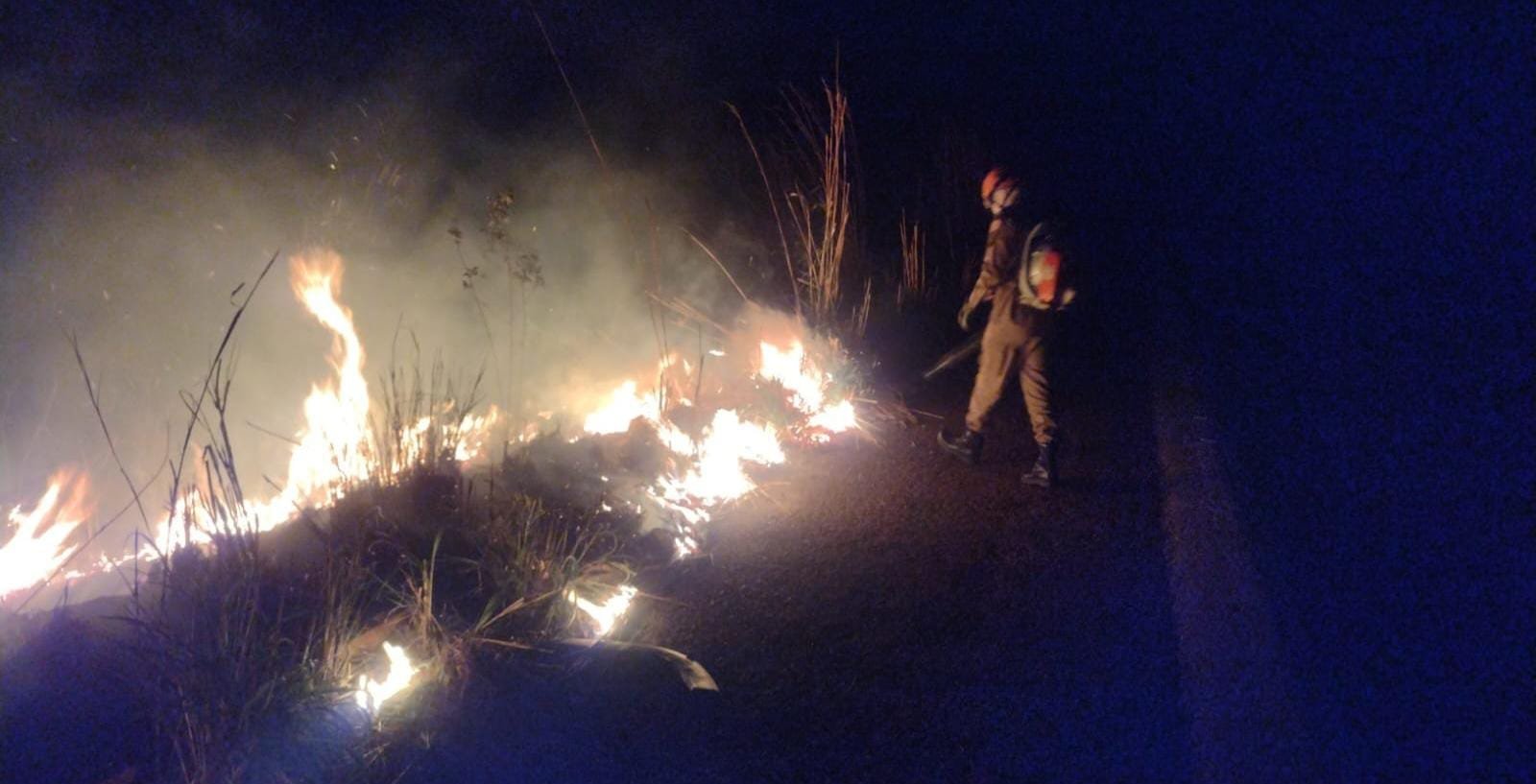 Bombeiros combatem incêndio em área de vegetação às margens da BR-070