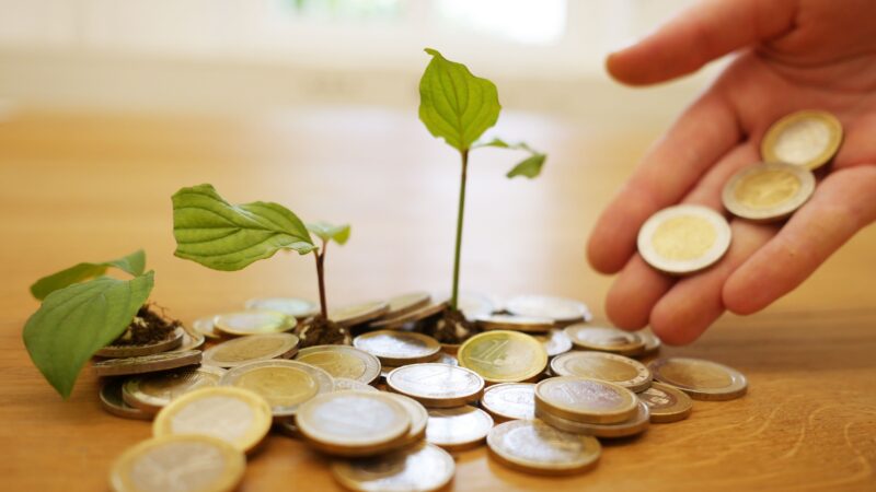 Previdência privada em 2024 arrecada R$ 196,1 bi ante 2023, diz Fenaprevi