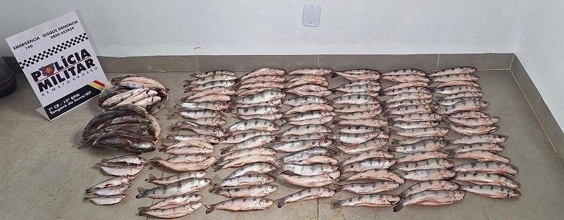 PM apreende 152 unidades de pescado irregular e prende homem por crime ambiental – Jornal Advogado – Em Mato Grosso