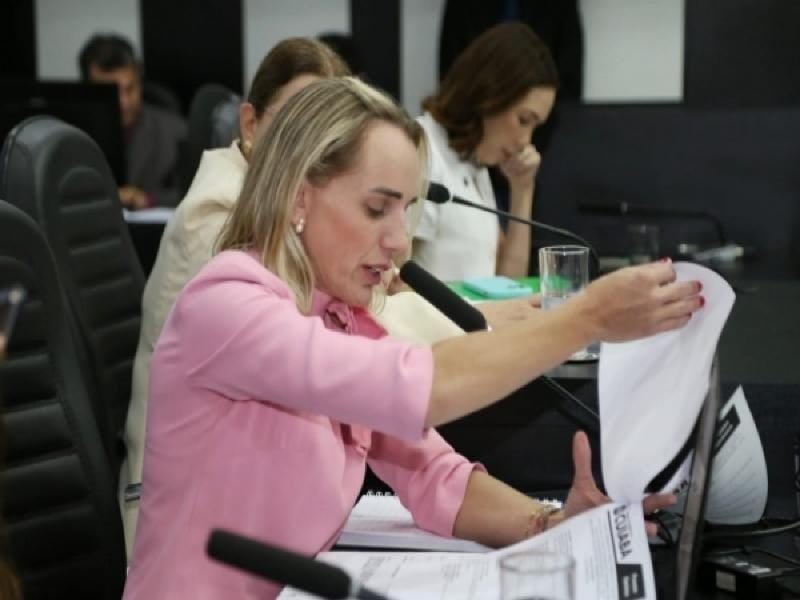 Vereadora defende ‘pacotão de CPIs” e afirma que novatos querem mostrar serviço – Jornal Advogado – Em Mato Grosso