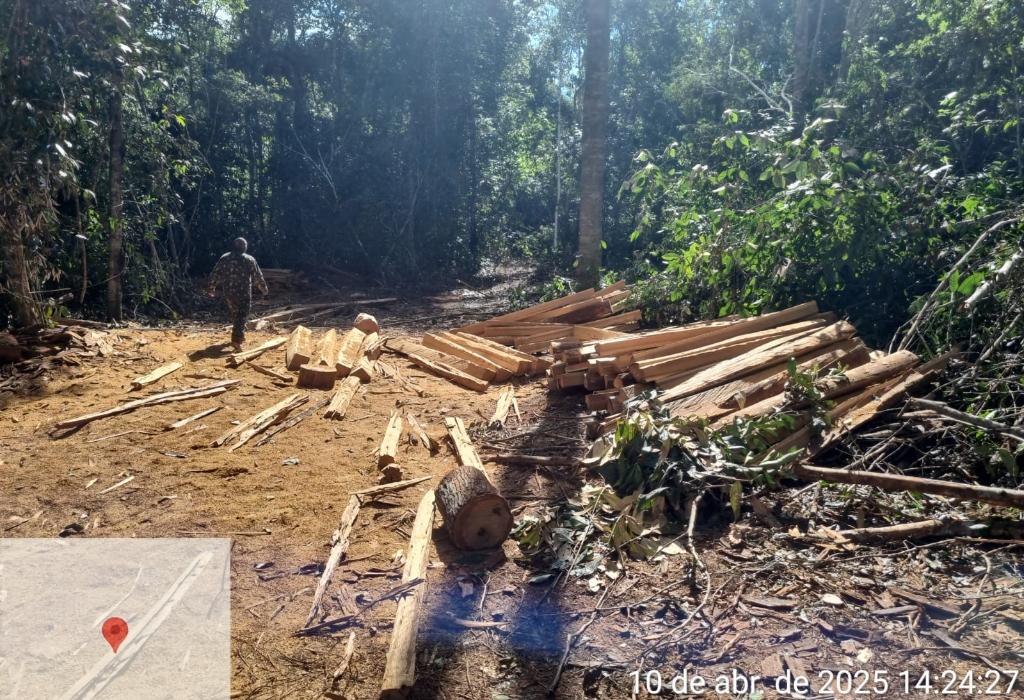 Polícia Civil prende três homens, destrói acampamentos e apreende motosserra em estação ecológica do Estado