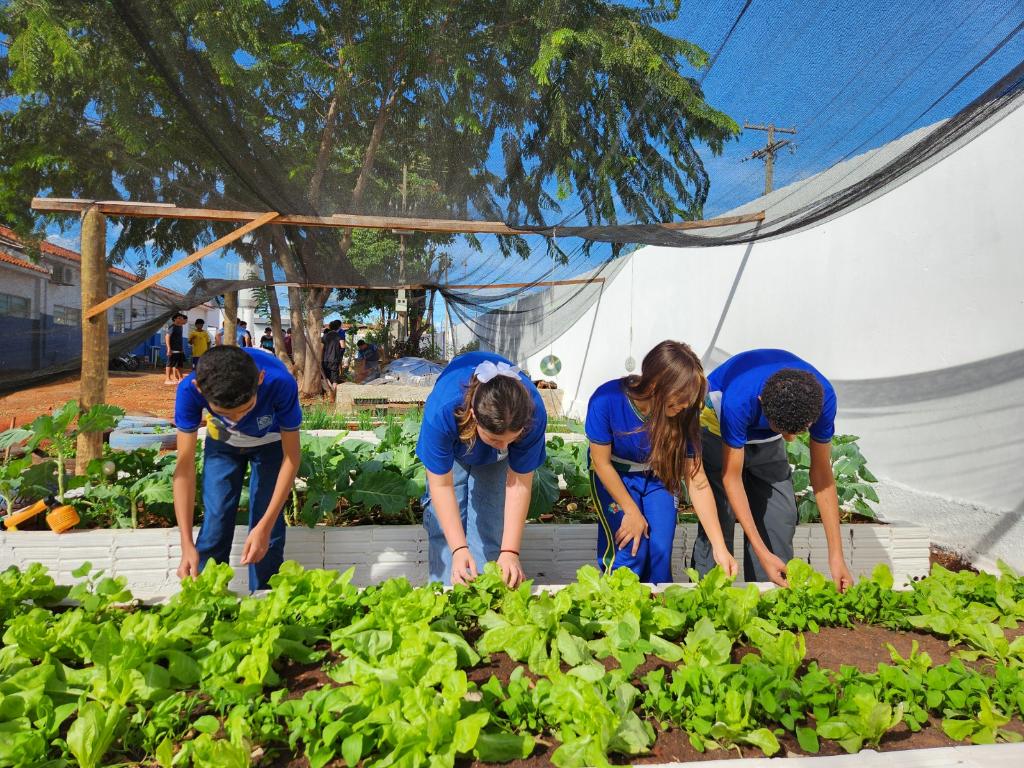 Escola Estadual Jada Torres incentiva alimentação saudável e aprendizado prático com horta escolar