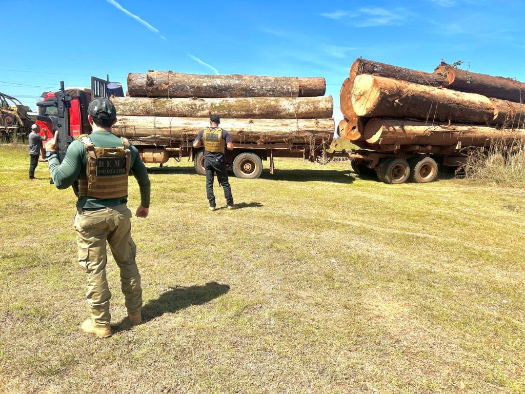 Polícia Civil apreende caminhões carregados com madeira em mais uma fase de operação contra desmatamento em Juína