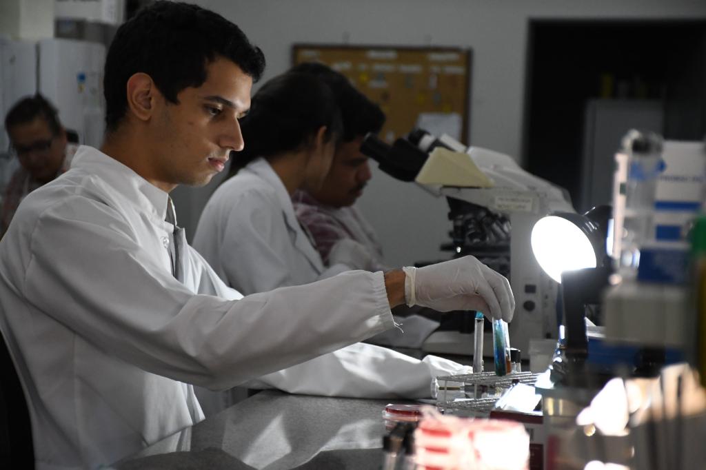 Pesquisadores desenvolvem sistema rápido para diagnóstico da resistência à antibióticos