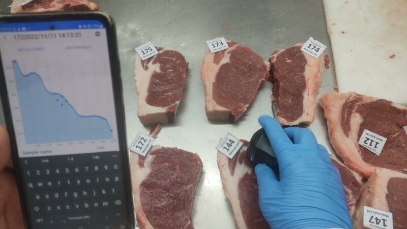 Pesquisa finaliza protótipo para avaliação da qualidade e maciez da carne bovina em tempo real com uso de IA