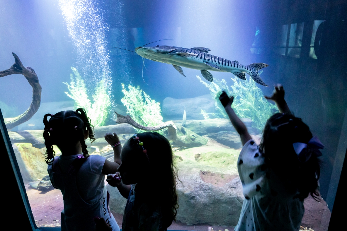 Aquário Municipal é sucesso de visitação no período de férias escolares