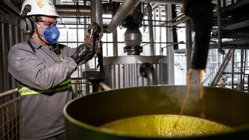 Cuiabá está entre as capitais com maior proporção de empregos verdes do Brasil