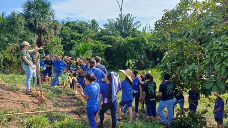 Seduc divulga lista das escolas selecionadas para etapa estadual da Conferência Infantojuvenil pelo Meio Ambiente