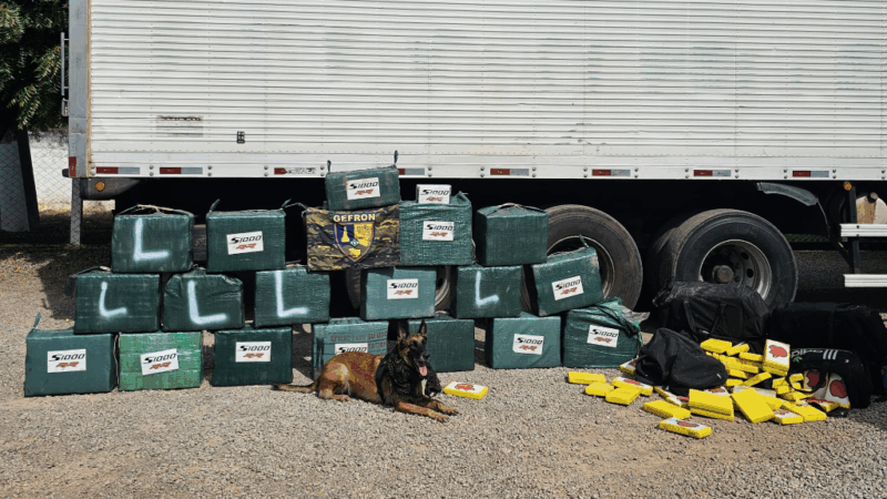 Gefron aumenta em 21% o prejuízo causado às facções criminosas em Mato Grosso