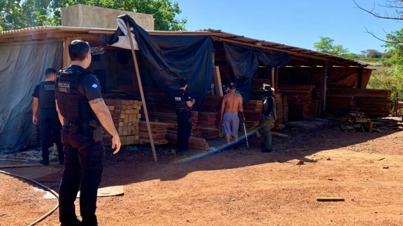 Polícia Civil registra três TCOs contra empresários por armazenamento ilegal de madeira em Peixoto de Azevedo