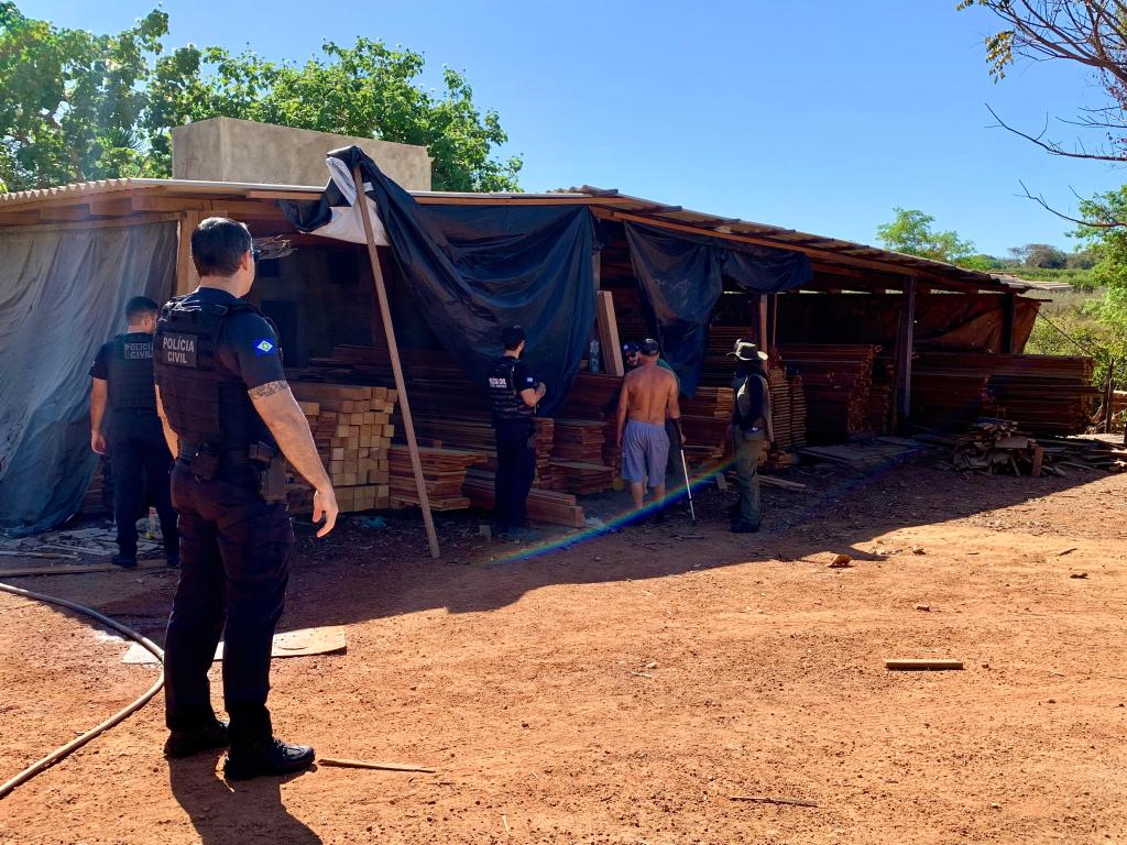 Polícia Civil registra três TCOs contra empresários por armazenamento ilegal de madeira em Peixoto de Azevedo