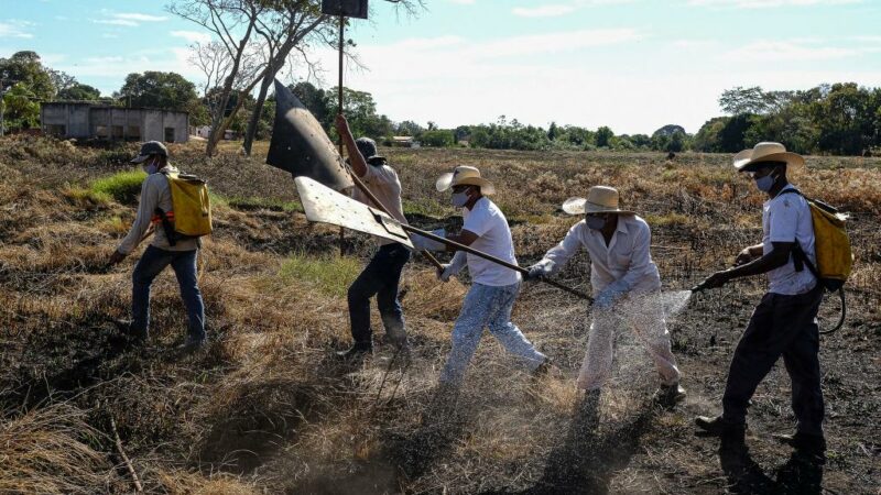 Corpo de Bombeiros capacita mais de 1,4 mil brigadistas em Mato Grosso