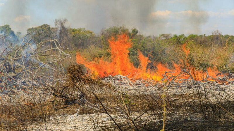 Polícia Militar prende homem por provocar incêndio em zona rural de Vila Rica