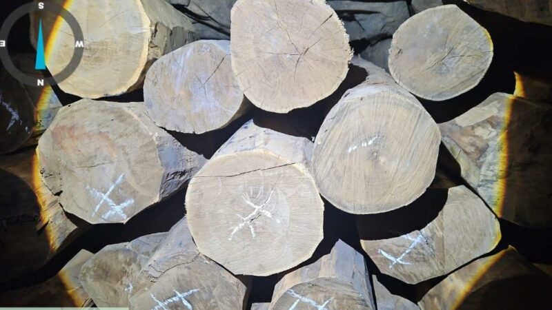 Polícia Civil intensifica trabalho de enfrentamento ao crime ambiental em Comodoro