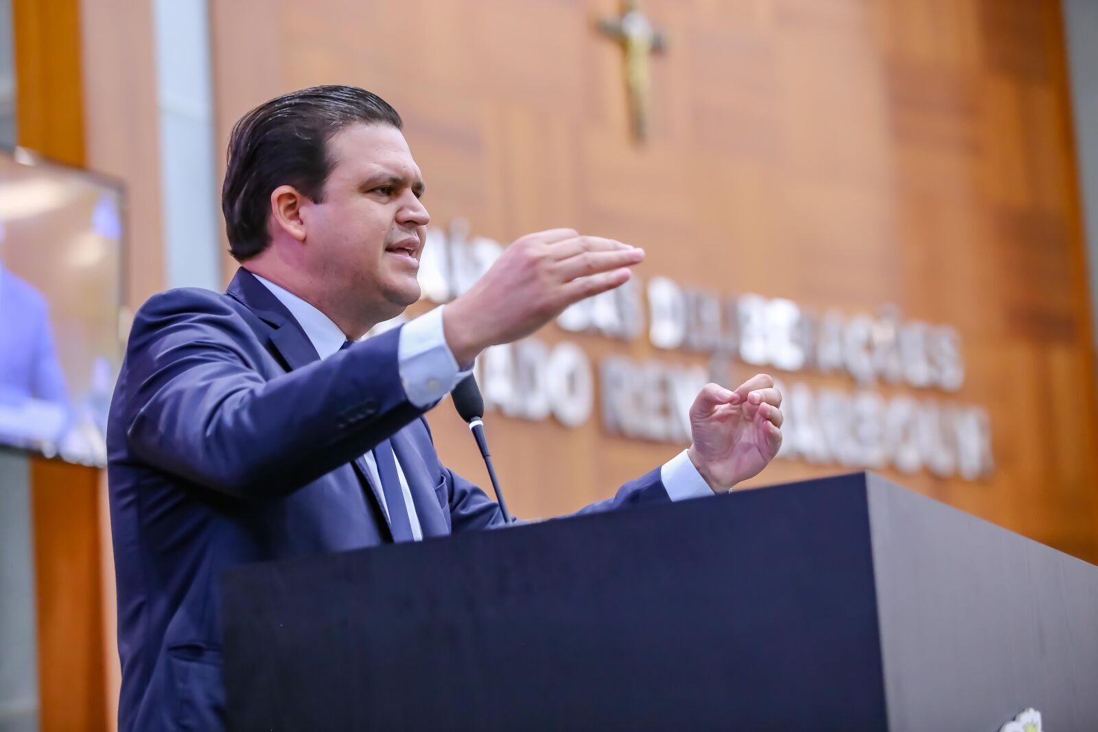 VIOLÊNCIA DOMÉSTICA