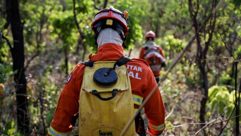 Corpo de Bombeiros extingue 2 incêndios florestais e combate 3 neste domingo (10)