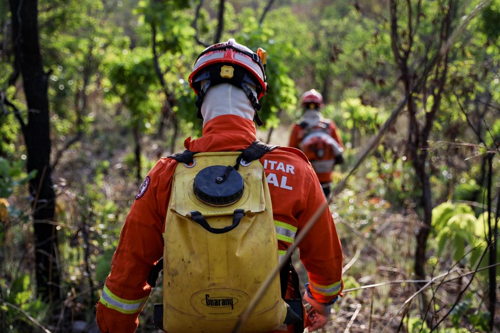 Corpo de Bombeiros extingue 2 incêndios florestais e combate 3 neste domingo (10)