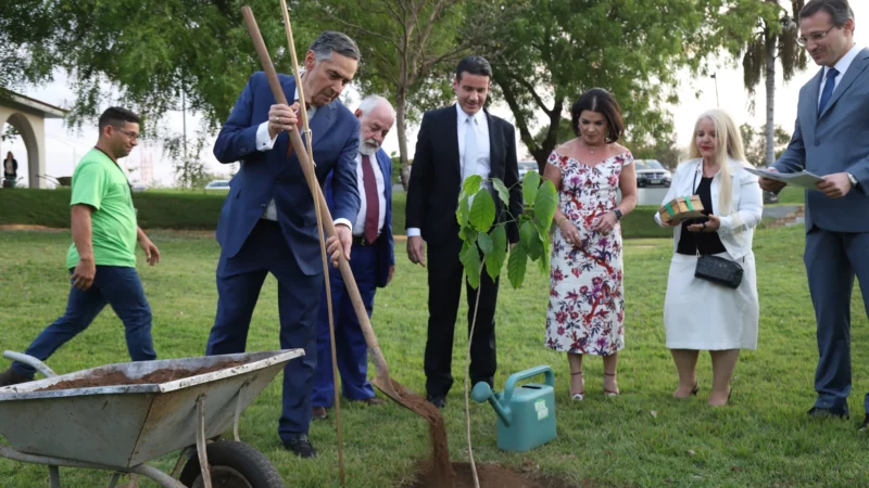 Ministro Barroso planta Ipê Amarelo e celebra compromisso ambiental em Mato Grosso