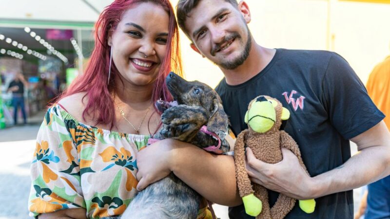 Cães são adotados em feira da Prefeitura de Cuiabá