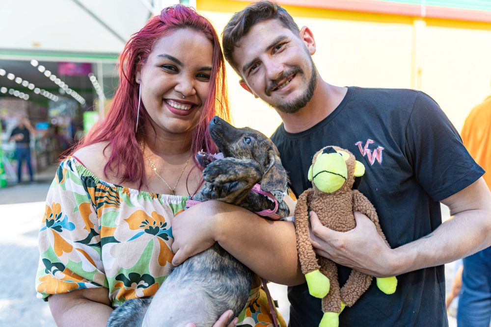 Cães são adotados em feira da Prefeitura de Cuiabá