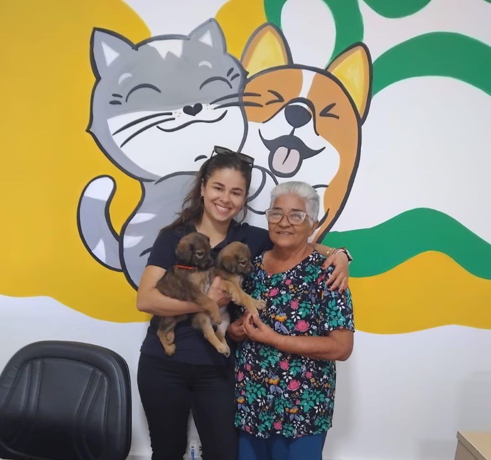 Campanha 20Ver conquista novos lares para cerca de 30 cães