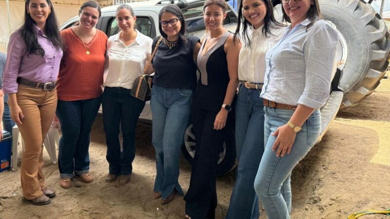 Nova Monte Verde recebe R$ 800 mil em investimentos da Seaf para fortalecer agricultura de pequena escala