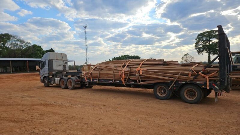 Castanheira apreendida pela Sema em Nova Bandeirantes lota dois caminhões