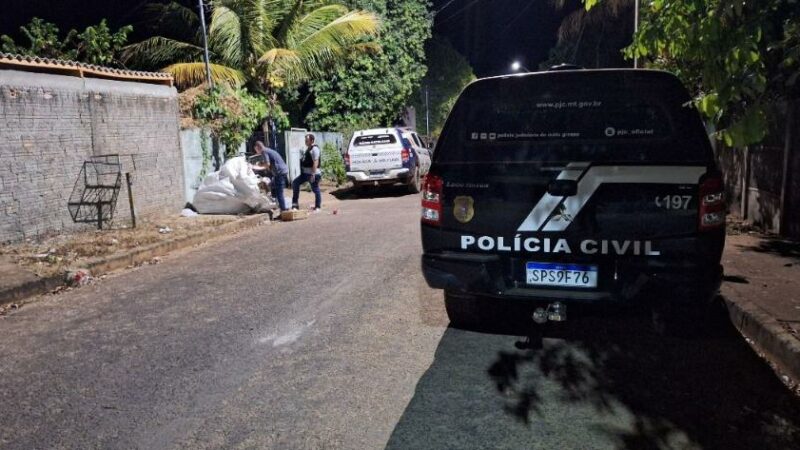 Polícia Civil prende suspeita por furto qualificado em Canarana
