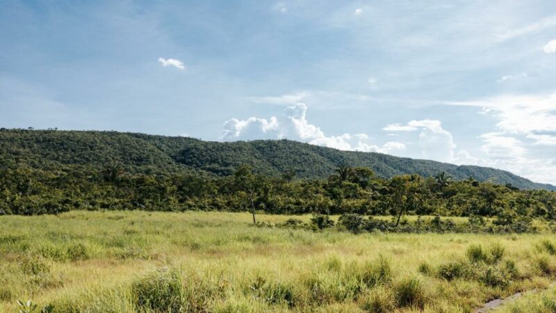Sema firma mais de 500 acordos para recuperação de áreas degradadas no primeiro semestre