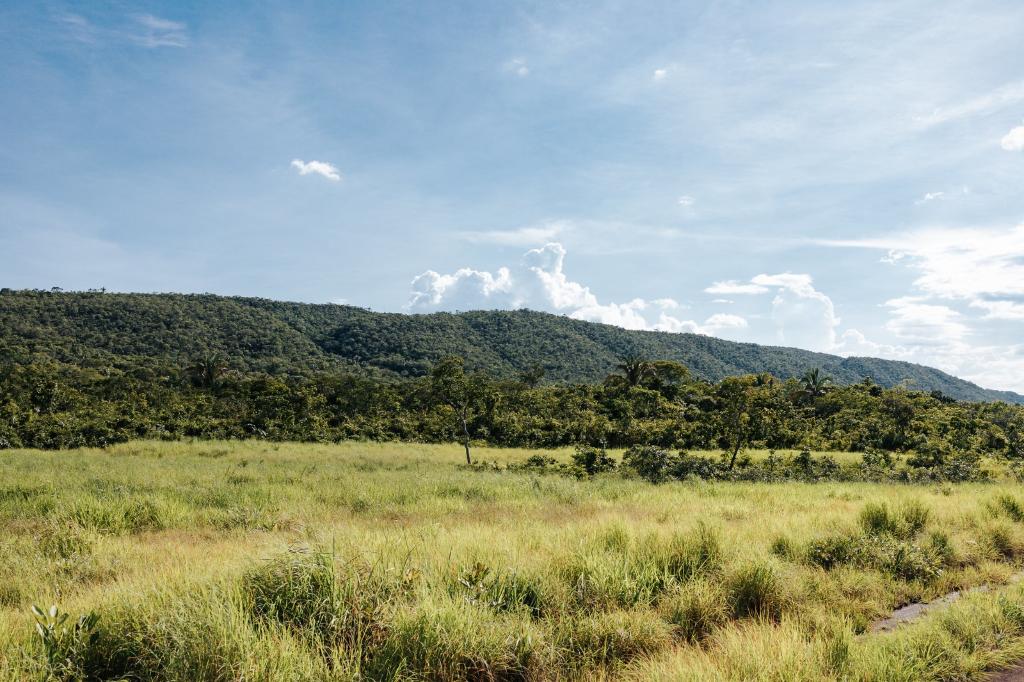 Sema firma mais de 500 acordos para recuperação de áreas degradadas no primeiro semestre
