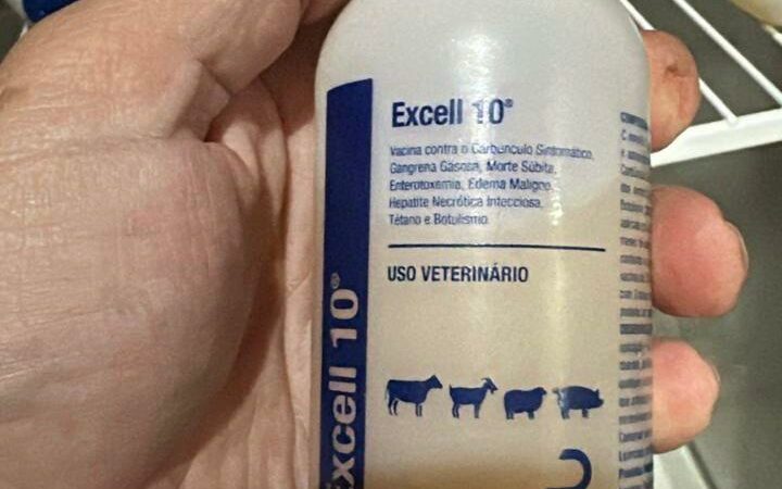 Indea informa suspensão do comércio da vacina Excell 10 em MT
