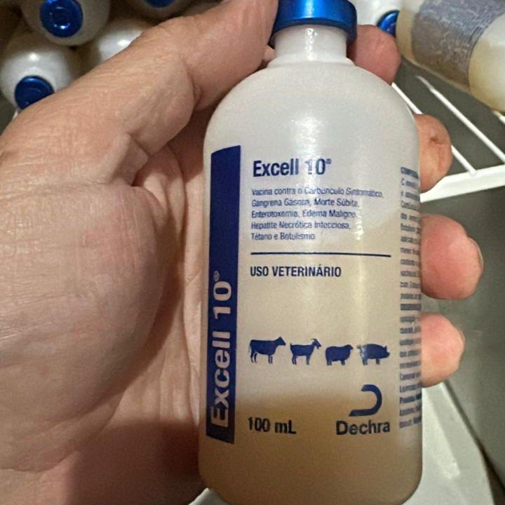 Indea informa suspensão do comércio da vacina Excell 10 em MT