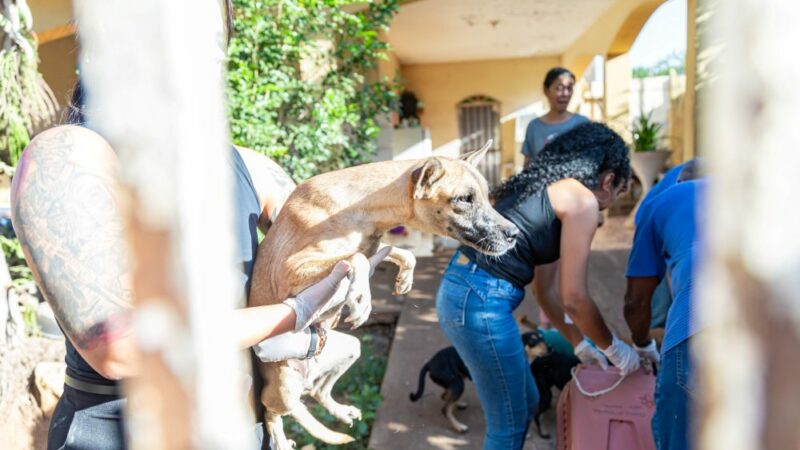 Prefeitura de Cuiabá celebra o Dia do Médico Veterinário com avanços na Bem-Estar Animal